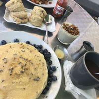 Vegan lavender pancakes, side of biscuits w/herbed tempeh gravy you’ll want a bucket of to go 😉, harvest hash w/jackfruit and eggy tofu at Honey B's in Frankenmuth