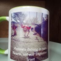 Mugs posters or t shirts are available, pick some up with your RV stay, or I can mail your order, or you can find my art and photography and order on Etsy: Vegan Memes 775-460-3969 at Divine Grace Healing Retreats in Reno