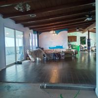 Your escort to treatment room or  dining room. 775-460-3969
"As long as Man continues to be the ruthless destroyer of lower living beings, he will never know health or peace."   at Divine Grace Healing Retreats in Reno