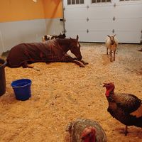  at Divine Grace Healing Retreats in Reno