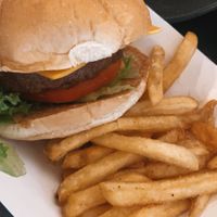 another beyond burger😄fries are seasoned so well  at Universal Studios - Richters 34 in Orlando