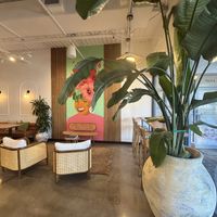   at Vegan Cuban Cuisine in Miami