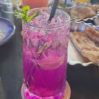  at Shiraz Persian Restaurant + Bar in Surfers Paradise