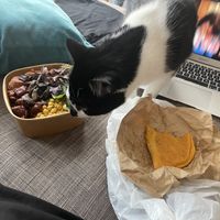 Patti and veggie bowl  at VSource in Herne Hill