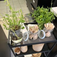   at Roswell & Soup Culture in Poznan