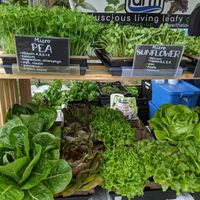 Greens at Riley Park Market at Farmers Markets in Vancouver