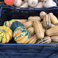 Fresh veggies at Farmers Markets in Vancouver