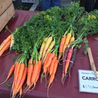 Carrots  at Farmers Markets in Vancouver
