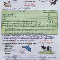  at Just Vegan in Sunshine