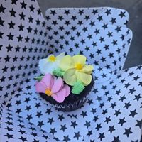 Cupcake at Black Star Pastry in Sydney