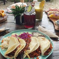 Burger, quesadilla with hibiscus flowers, summer rolls at Arte Sano in Holbox
