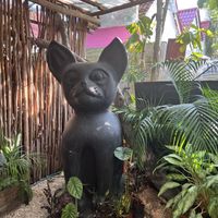 Decor  at Arte Sano in Holbox