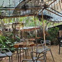  at Arte Sano in Holbox