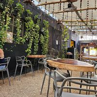  at Arte Sano in Holbox