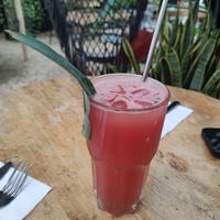  at Arte Sano in Holbox