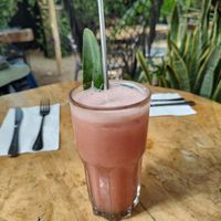  at Arte Sano in Holbox