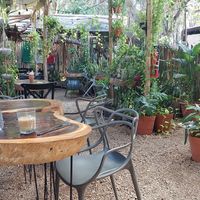  at Arte Sano in Holbox