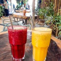  at Arte Sano in Holbox