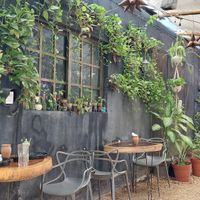  at Arte Sano in Holbox