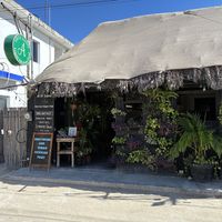  at Arte Sano in Holbox