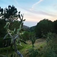 Stunning views! at TerrAzoia in Colares