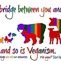 :) at Vegans of NWI in Highland