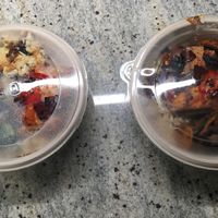 Takeout bowls. at DIG - Lenox Hill in New York City