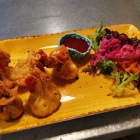 Yummy wontons with a side salad!  at Lemonwood Eatery in Okato