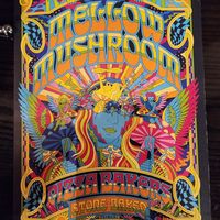  at Mellow Mushroom in Chantilly