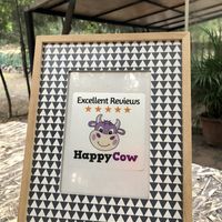 Happy Cow 🐮 at Cafetería Tambien in Puebla