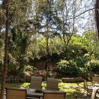 Eating surrounded by trees and plants 💗 at Cafetería Tambien in Puebla