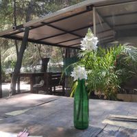  at Cafetería Tambien in Puebla