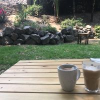 Beautiful little garden in the shade  at Cafetería Tambien in Puebla