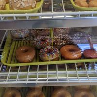 Delicious fresh donuts at Vegan Donut-Gelato in Houston