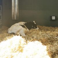  at Animaux en Péril in Isieres