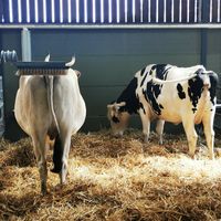  at Animaux en Péril in Isieres