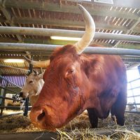  at Animaux en Péril in Isieres