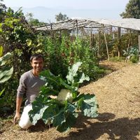 Proud veggie garden owner!!!! at Mountain View Eco Farm in Lekhnath