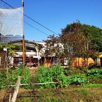 I loved it! at Mountain View Eco Farm in Lekhnath