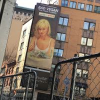 Billboard across the street from Sweetgreen😄 (she isn't really a vegan, anyway) at sweetgreen - NoMad in New York City