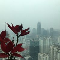 View at The Flow in Shanghai