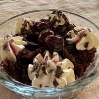 Foresta nera  at Country Relais Coroncina in Belforte Del Chienti