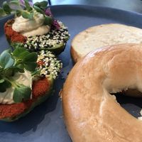 The Avo Garden  at The Avocado Show in Brussels