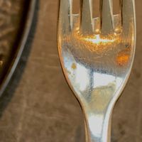 Dirty fork  at The Avocado Show in Brussels