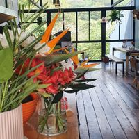 . at The Open Kitchen in Monteverde