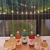 Kombucha & Ginger at The Open Kitchen in Monteverde