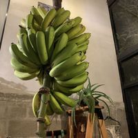This place is bananas! at The Open Kitchen in Monteverde