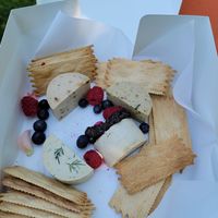 Tasting flight at Planthropie in Birmingham