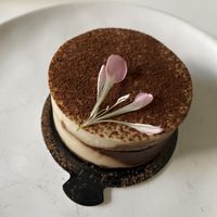 Tiramisu   at Planthropie in Birmingham