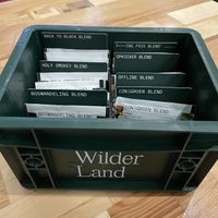 Tea  at The Green House in Utrecht